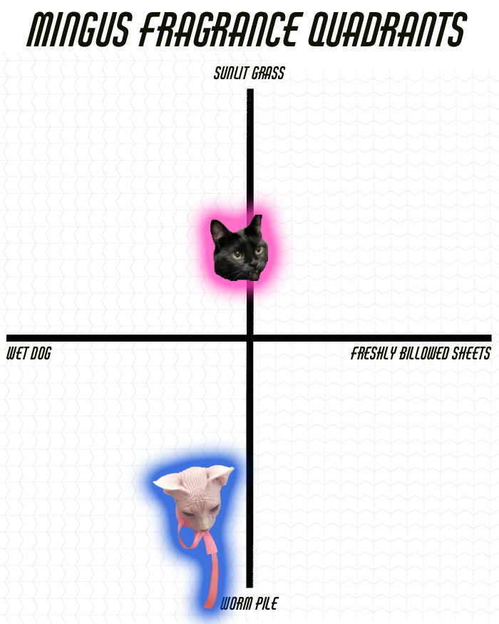 a quandrant chart describing the smell of Mingus the cat and Didier the cat on two axes, sunwarmed grass to worm pile, and wet dog to freshly billowed sheets