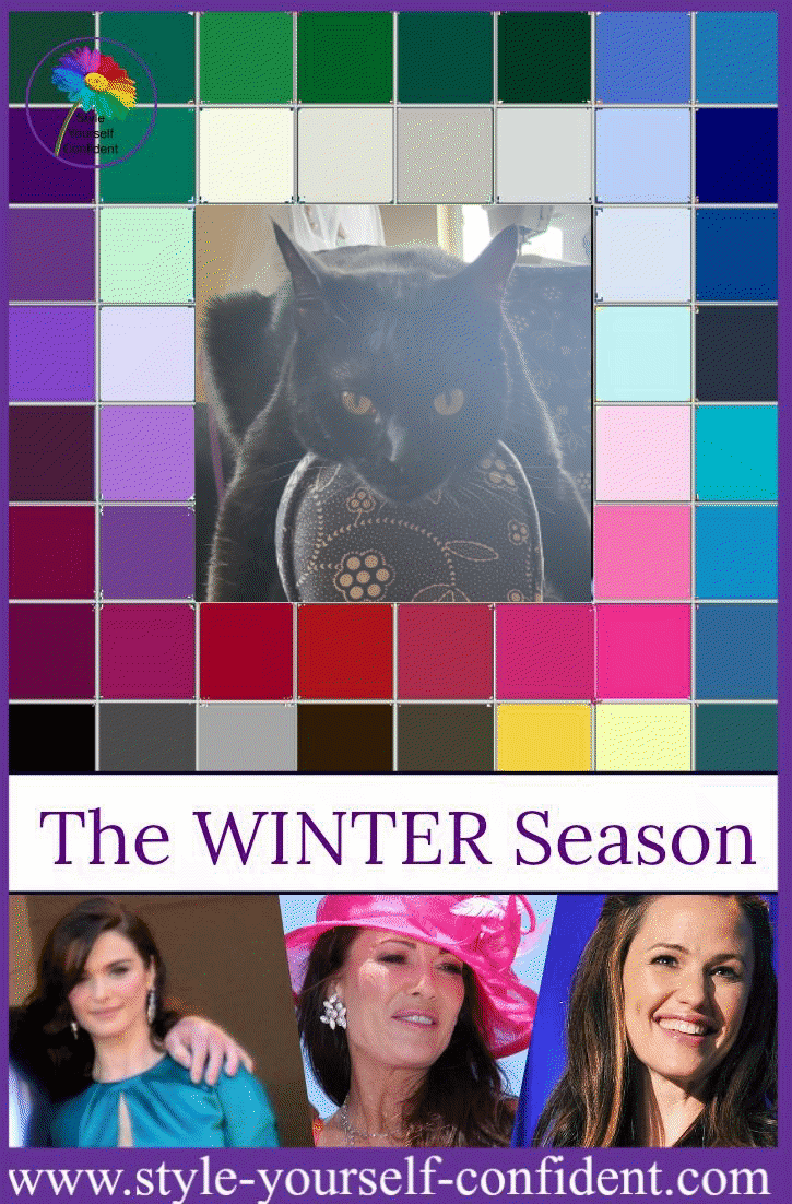 chart of colors that look best on a someone who has a 'winter' personal color season (a sort of pseudoscience purpirting to figure out what clothibng colors look best on who). the colors surround a picture of Mingus
